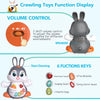 Easter Bunny Baby Toys 6 to 12 Months Infant Tummy Time Toys with Light & Sound, Musical Crawling Toys for Babies 3 4 5 6 7 8 9 10 11 12 Months Easter Basket Stuffers =, 1St Birthday Gifts