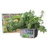: Culinary Herb Collection - DIY Biosphere Terrarium Starter Kit, Grow 5 Different Delicious Herb Plants, Kitchen Window Indoor Garden